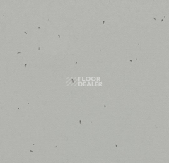Линолеум Forbo Sphera Energetic 50202 concrete фото 1 | FLOORDEALER